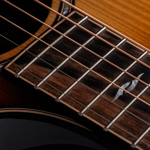2024年の新アコースティックギター | Taylor Guitars